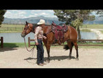 1760 Julie Goodnight Teton Saddle