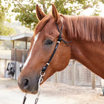 Berlin Custom Leather Company Rope Headstall